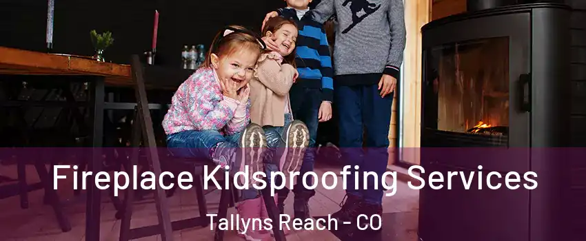 Fireplace Kidsproofing Services Tallyns Reach - CO