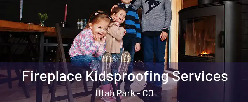 Fireplace Kidsproofing Services Utah Park - CO