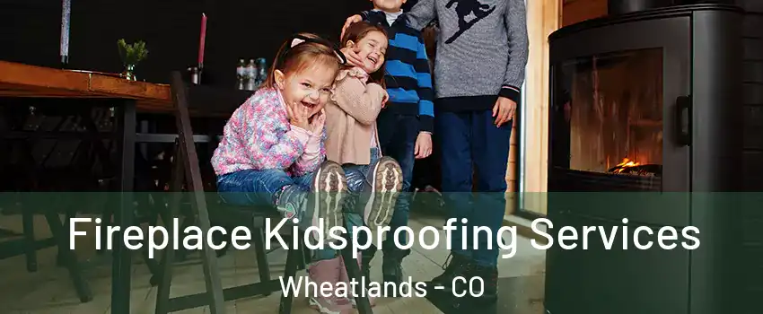 Fireplace Kidsproofing Services Wheatlands - CO