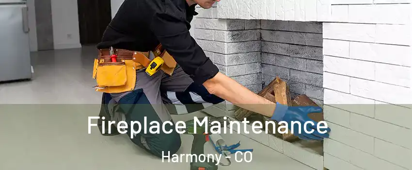 Fireplace Maintenance Harmony - CO