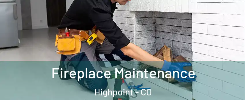 Fireplace Maintenance Highpoint - CO