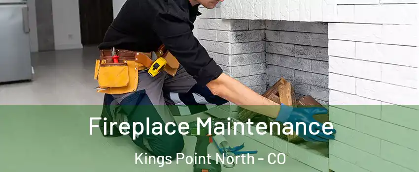 Fireplace Maintenance Kings Point North - CO