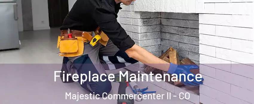 Fireplace Maintenance Majestic Commercenter II - CO