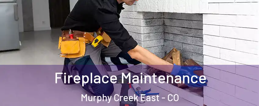 Fireplace Maintenance Murphy Creek East - CO