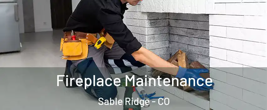 Fireplace Maintenance Sable Ridge - CO