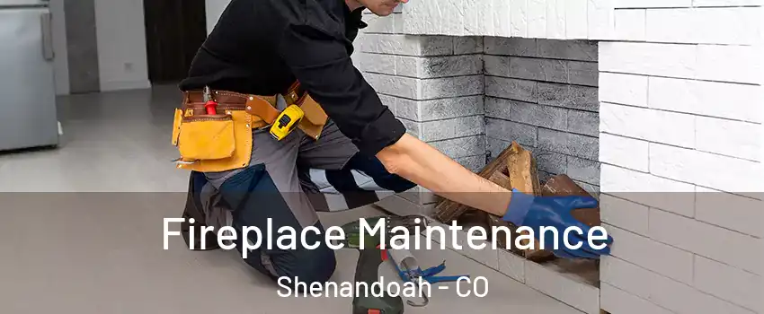 Fireplace Maintenance Shenandoah - CO