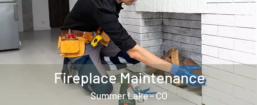 Fireplace Maintenance Summer Lake - CO