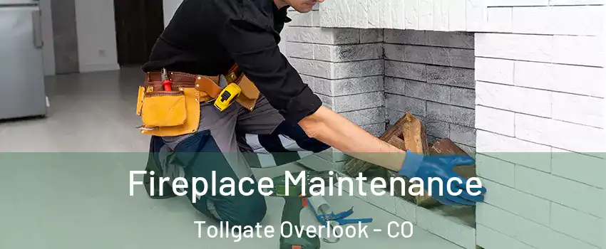 Fireplace Maintenance Tollgate Overlook - CO