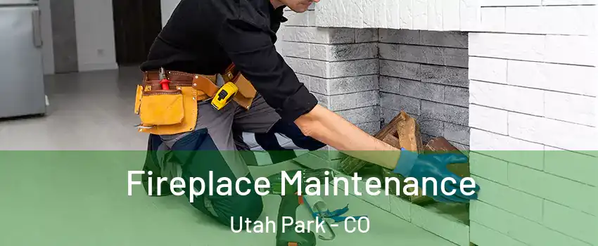 Fireplace Maintenance Utah Park - CO