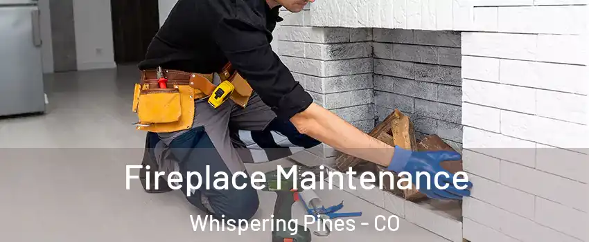 Fireplace Maintenance Whispering Pines - CO