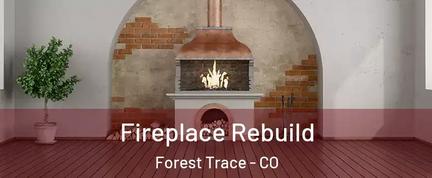 Fireplace Rebuild Forest Trace - CO