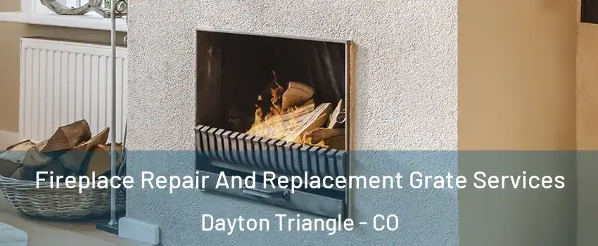 Fireplace Repair And Replacement Grate Services Dayton Triangle - CO