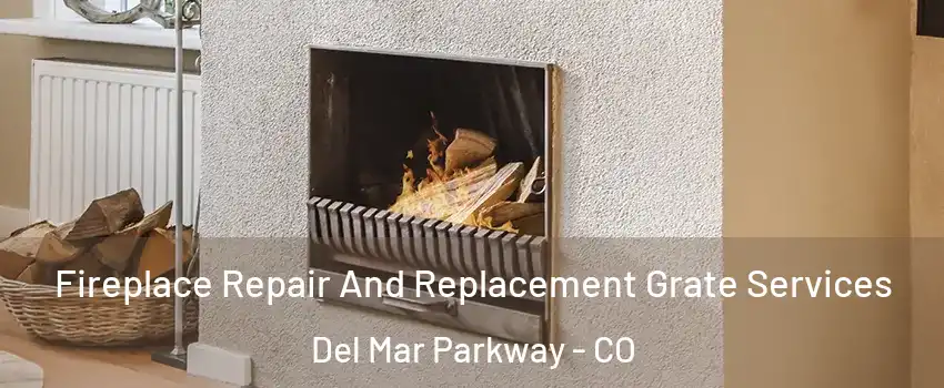 Fireplace Repair And Replacement Grate Services Del Mar Parkway - CO