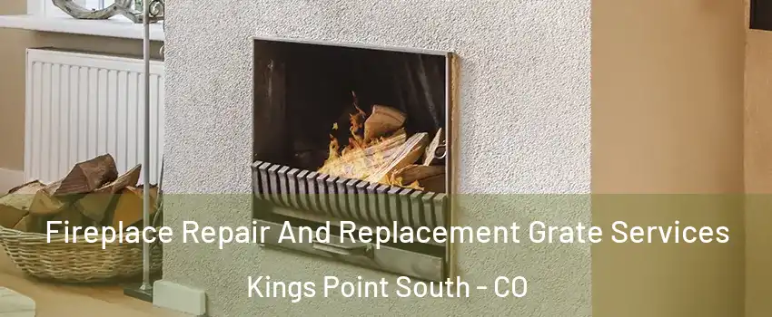 Fireplace Repair And Replacement Grate Services Kings Point South - CO