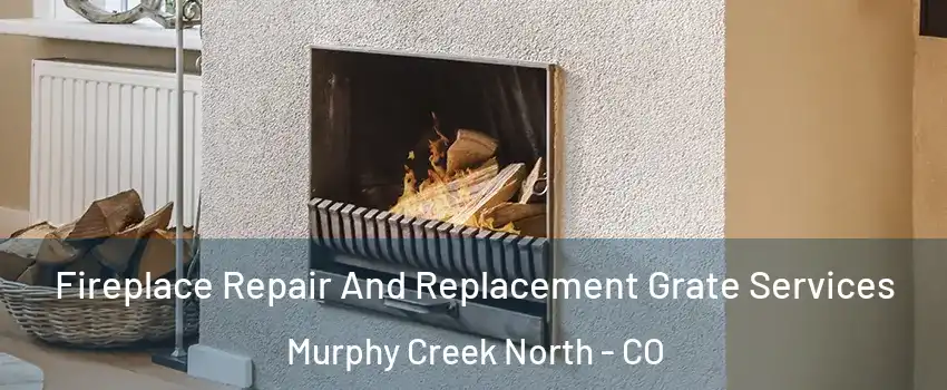 Fireplace Repair And Replacement Grate Services Murphy Creek North - CO