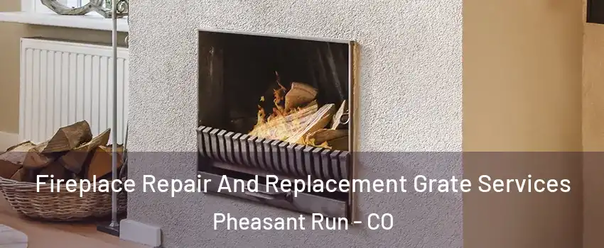 Fireplace Repair And Replacement Grate Services Pheasant Run - CO