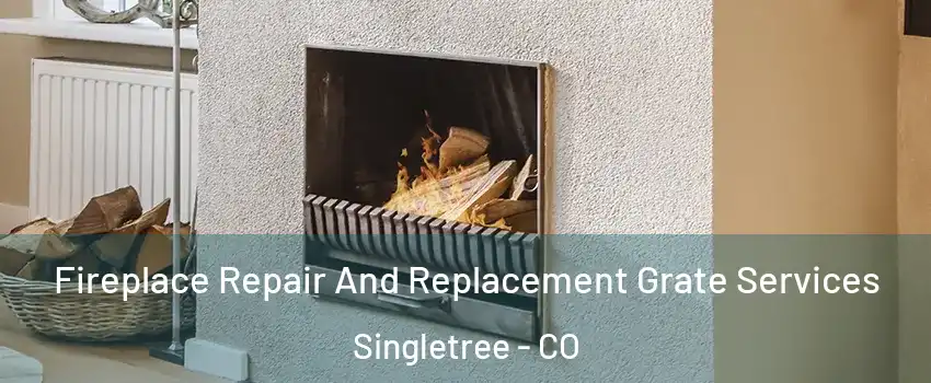 Fireplace Repair And Replacement Grate Services Singletree - CO