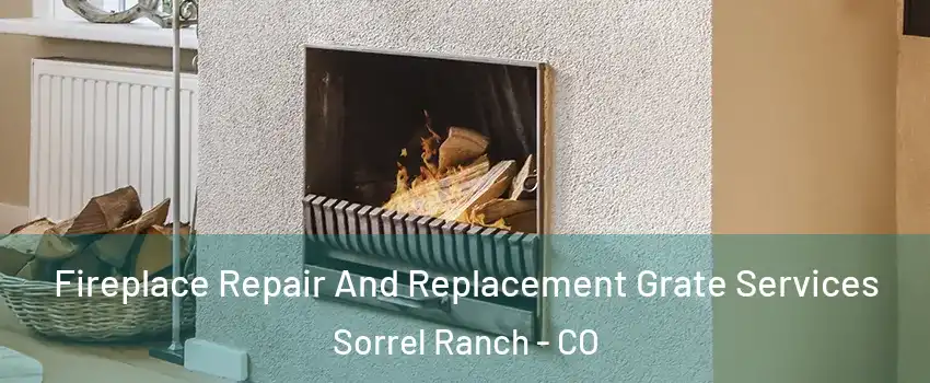 Fireplace Repair And Replacement Grate Services Sorrel Ranch - CO