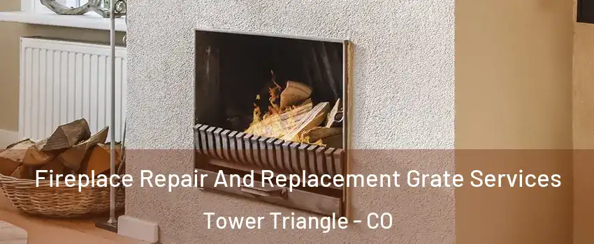 Fireplace Repair And Replacement Grate Services Tower Triangle - CO