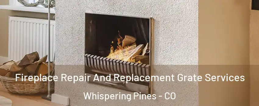 Fireplace Repair And Replacement Grate Services Whispering Pines - CO