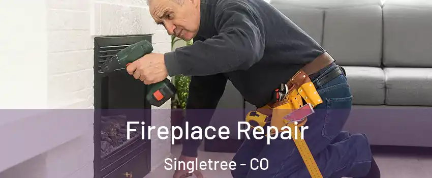Fireplace Repair Singletree - CO