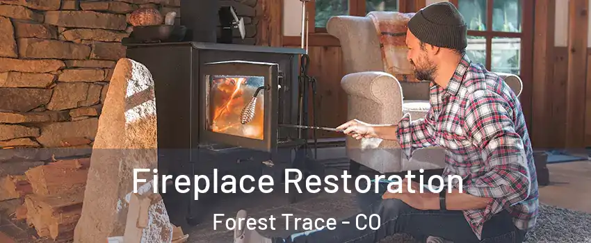 Fireplace Restoration Forest Trace - CO