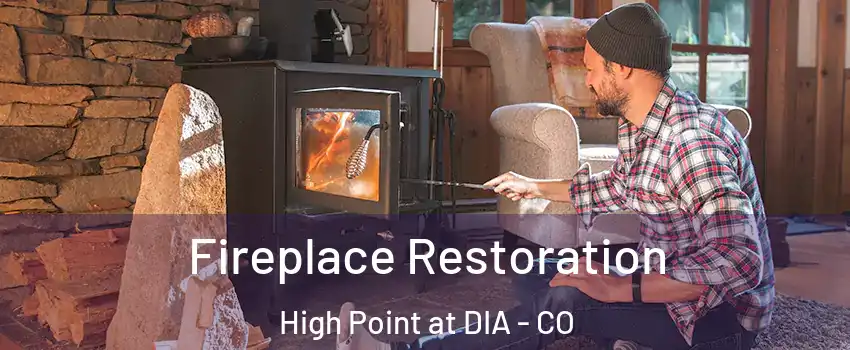 Fireplace Restoration High Point at DIA - CO
