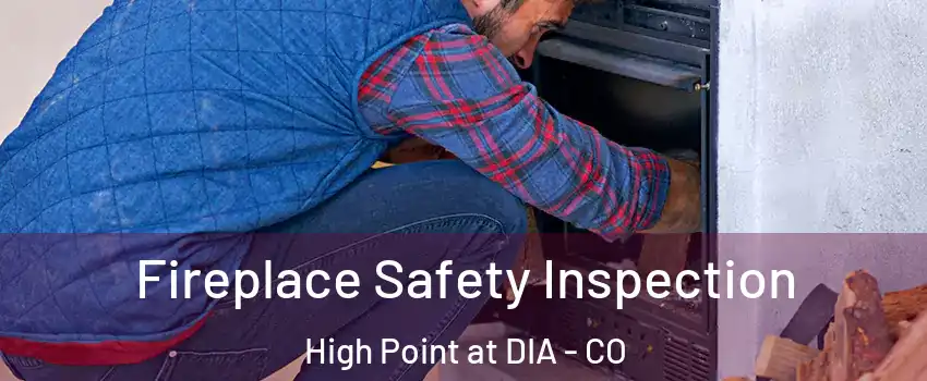 Fireplace Safety Inspection High Point at DIA - CO