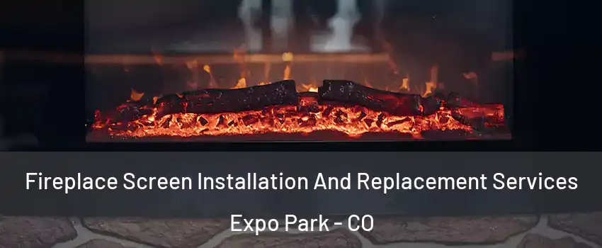 Fireplace Screen Installation And Replacement Services Expo Park - CO