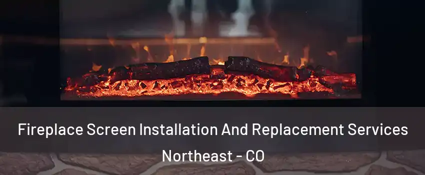 Fireplace Screen Installation And Replacement Services Northeast - CO