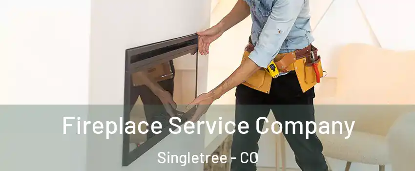 Fireplace Service Company Singletree - CO
