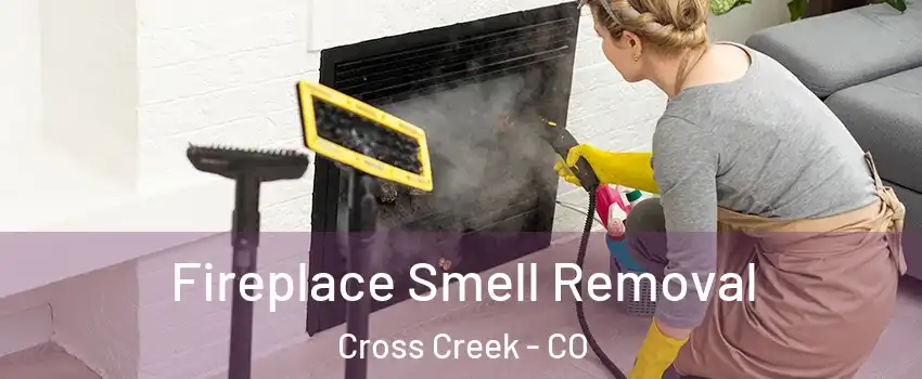 Fireplace Smell Removal Cross Creek - CO