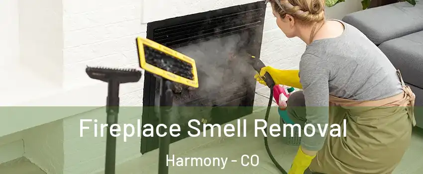 Fireplace Smell Removal Harmony - CO