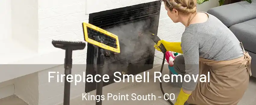 Fireplace Smell Removal Kings Point South - CO