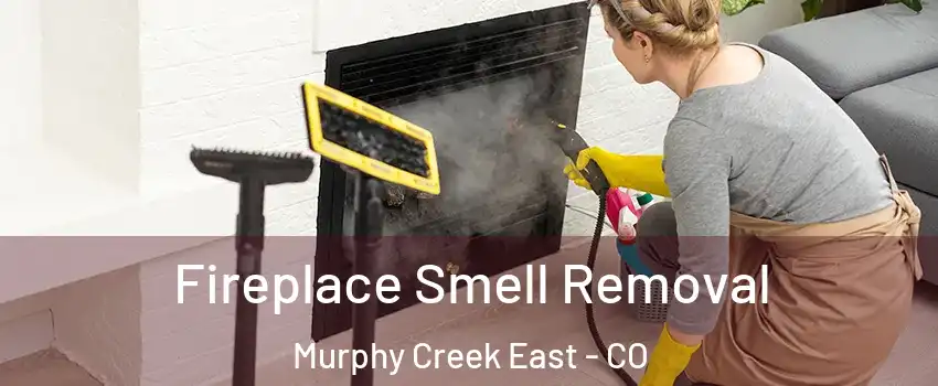 Fireplace Smell Removal Murphy Creek East - CO