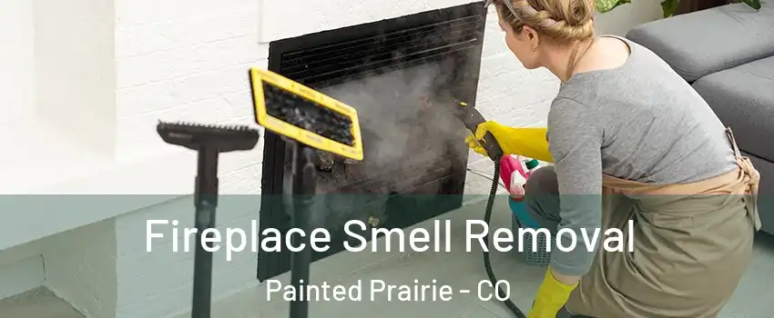 Fireplace Smell Removal Painted Prairie - CO
