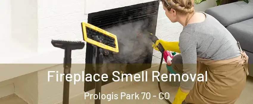 Fireplace Smell Removal Prologis Park 70 - CO