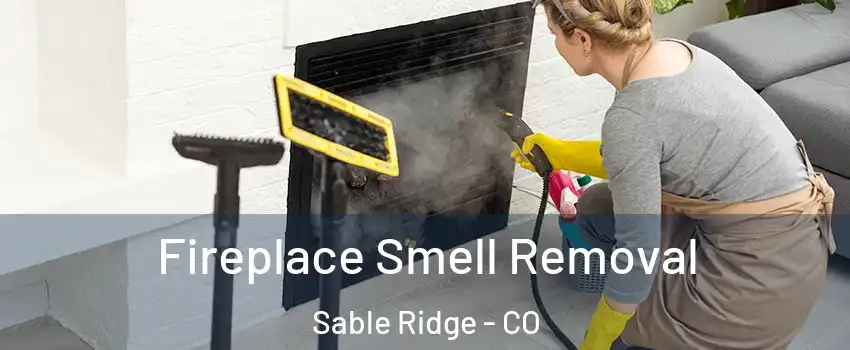 Fireplace Smell Removal Sable Ridge - CO