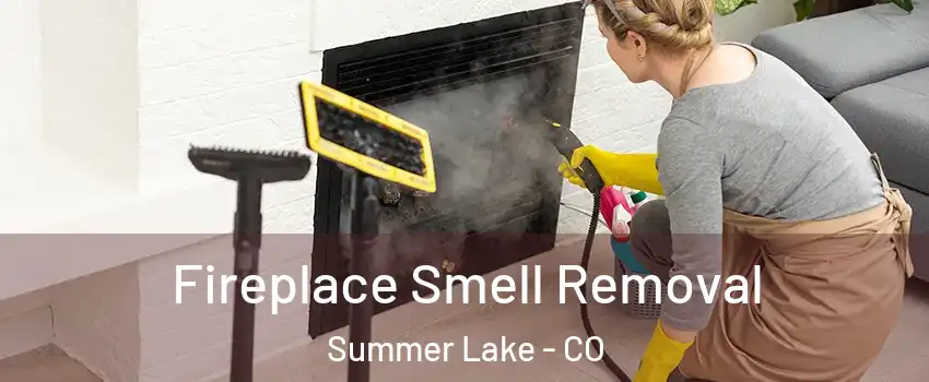 Fireplace Smell Removal Summer Lake - CO