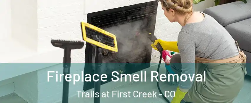Fireplace Smell Removal Trails at First Creek - CO