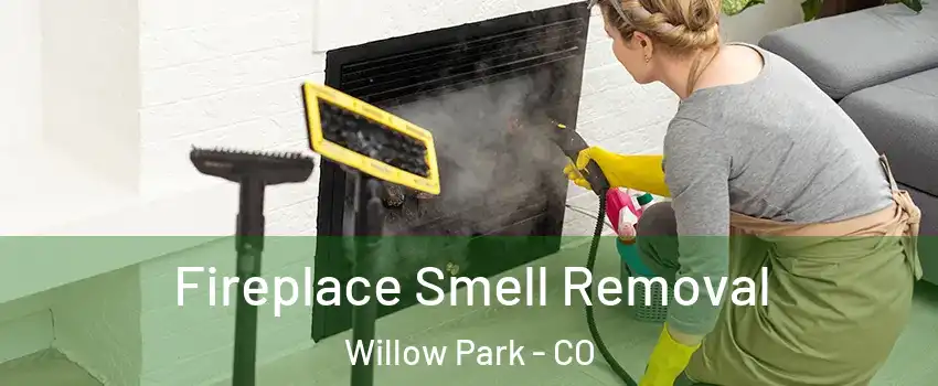 Fireplace Smell Removal Willow Park - CO