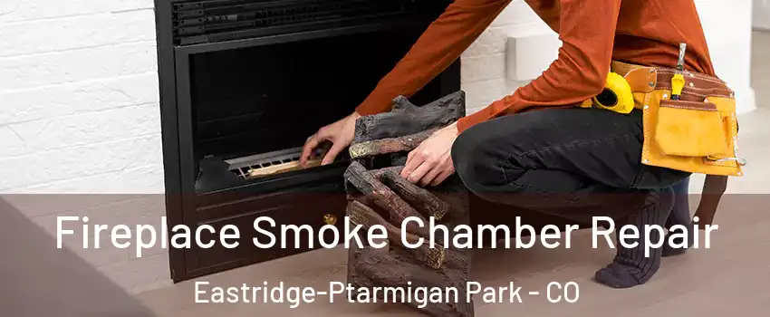 Fireplace Smoke Chamber Repair Eastridge-Ptarmigan Park - CO
