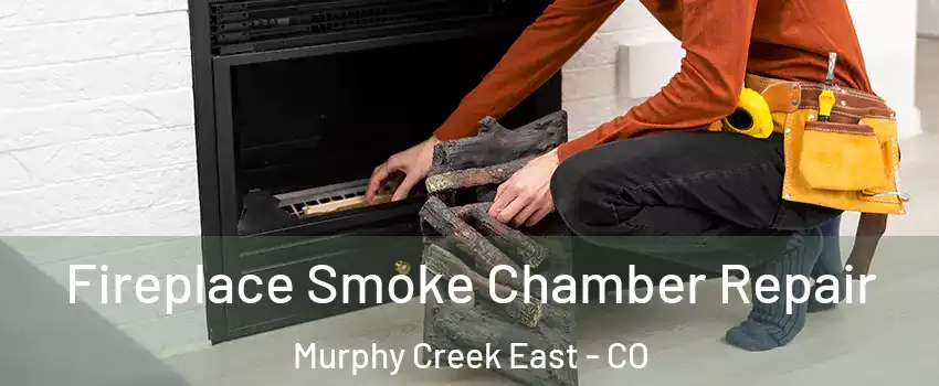 Fireplace Smoke Chamber Repair Murphy Creek East - CO