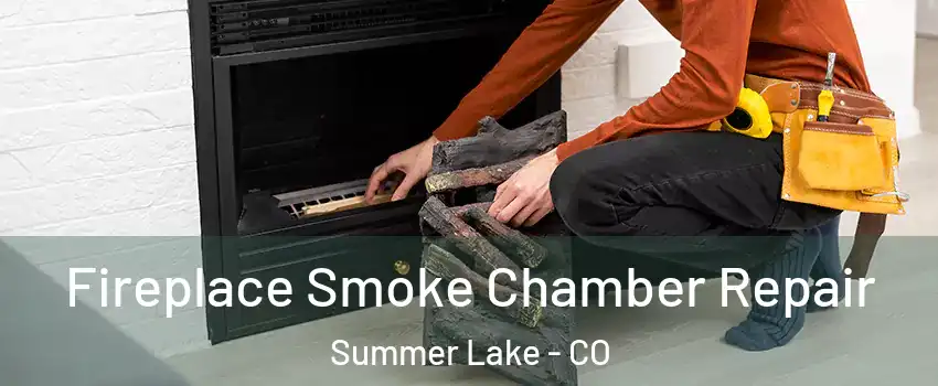 Fireplace Smoke Chamber Repair Summer Lake - CO