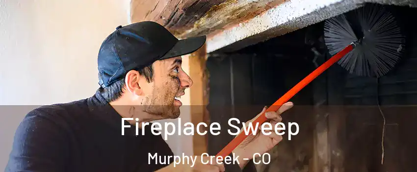 Fireplace Sweep Murphy Creek - CO
