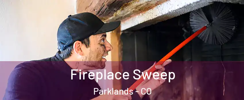 Fireplace Sweep Parklands - CO