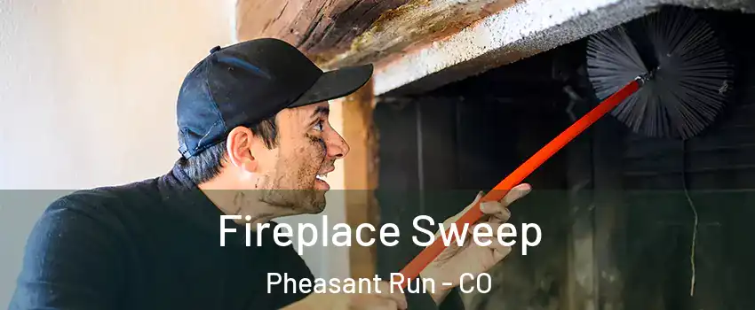 Fireplace Sweep Pheasant Run - CO