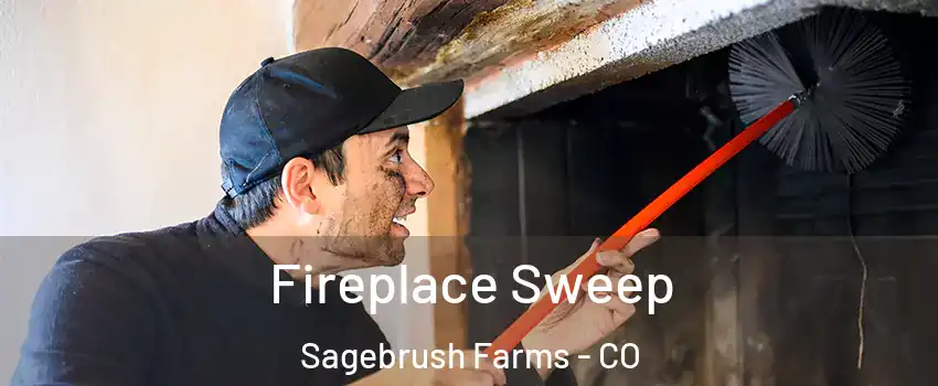 Fireplace Sweep Sagebrush Farms - CO