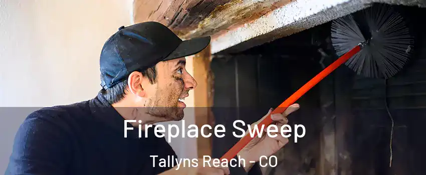 Fireplace Sweep Tallyns Reach - CO