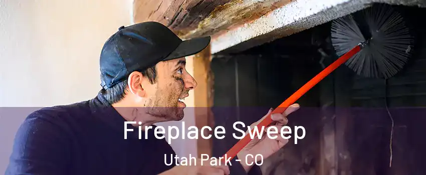 Fireplace Sweep Utah Park - CO
